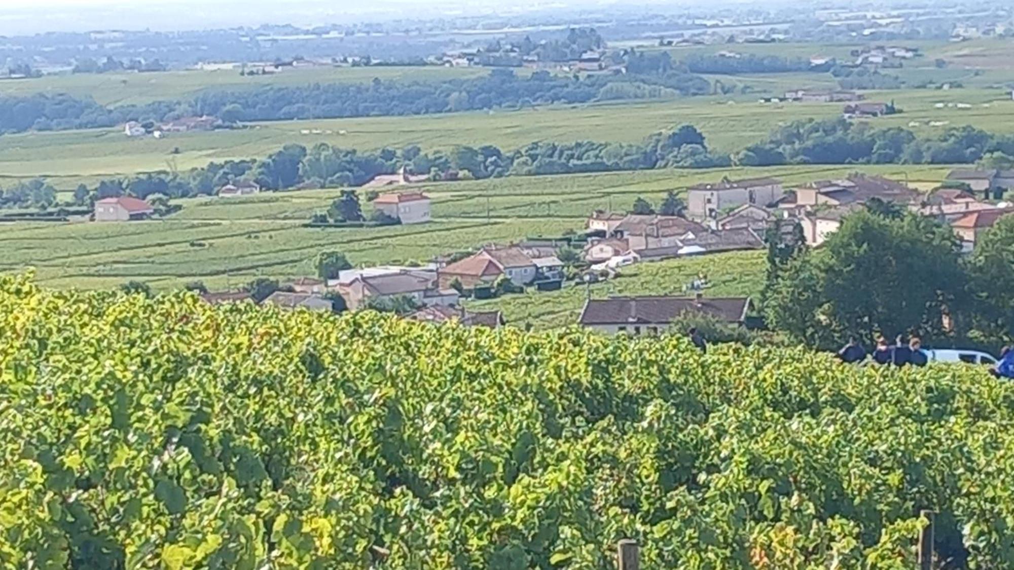 Cocon De Morgon Villié-Morgon Exterior foto